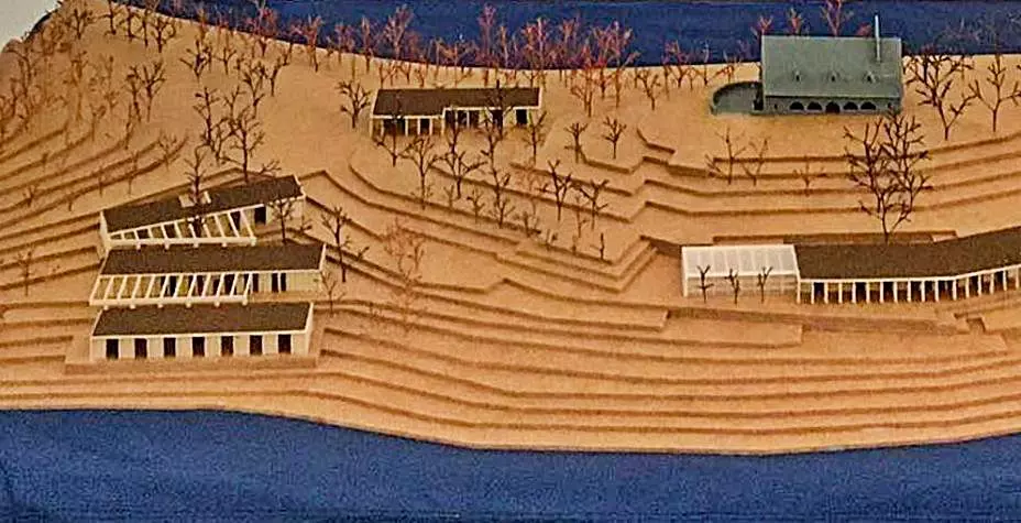 maquera con edificios y arboles
